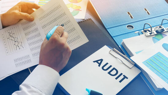 Commissaire aux comptes Toulouse, Audit Grenade