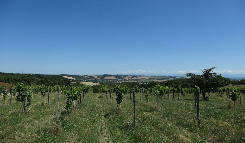 Expert-comptable à {{localite_seo2}}