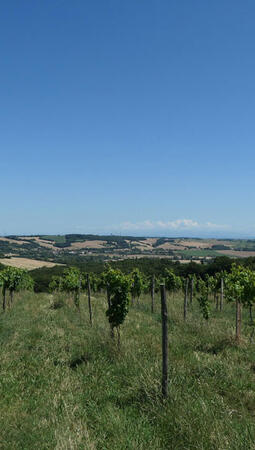 BFP EXPERTISE CONSEIL CASTELGINEST