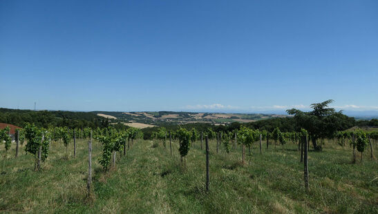 Expert-comptable à Castelginest