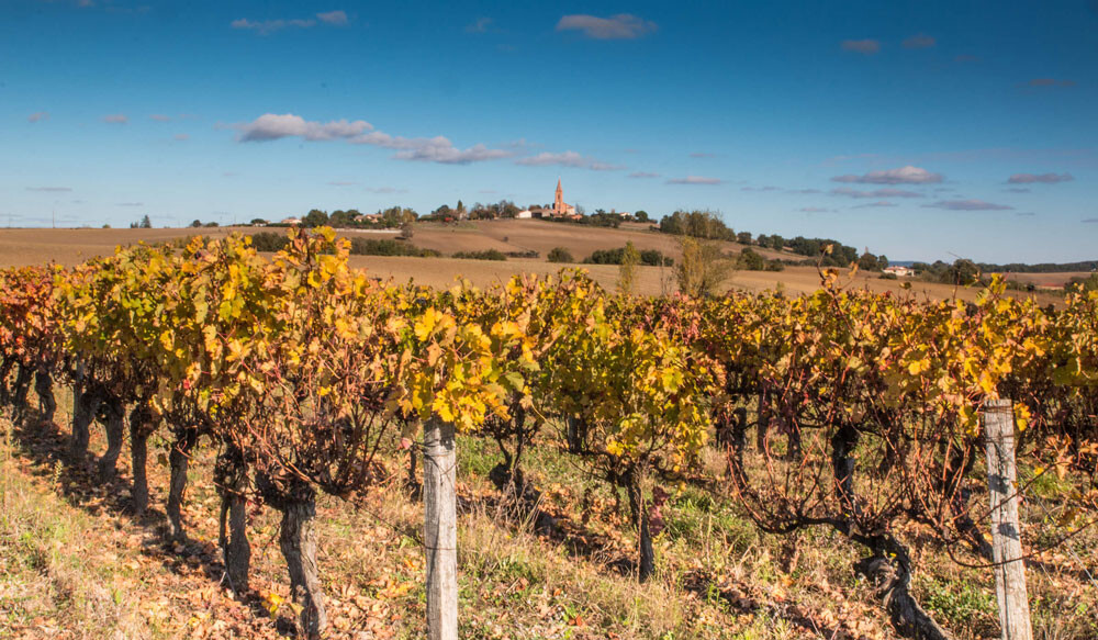 Expert-comptable à {{localite_seo4}}