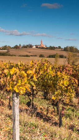 BFP EXPERTISE CONSEIL FRONTON