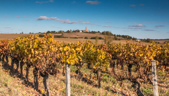 Expert-comptable à Fronton